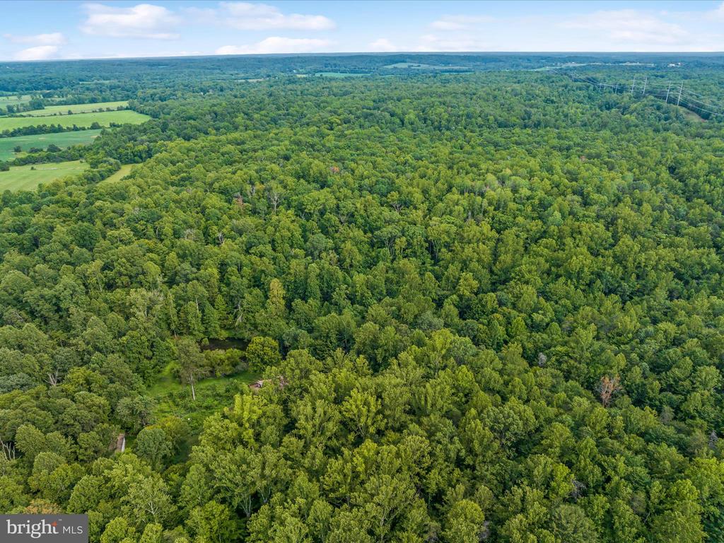 Beaver Dam Rd