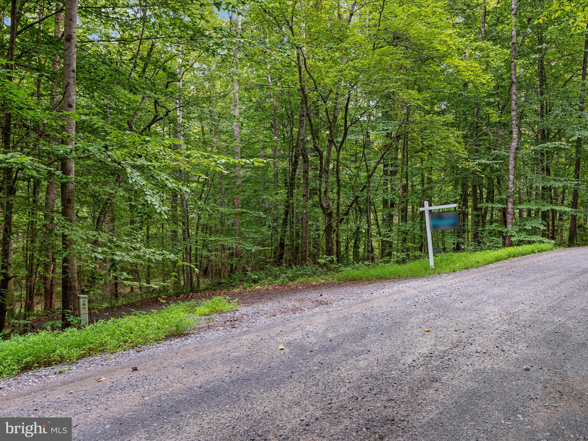 Beaver Dam Rd