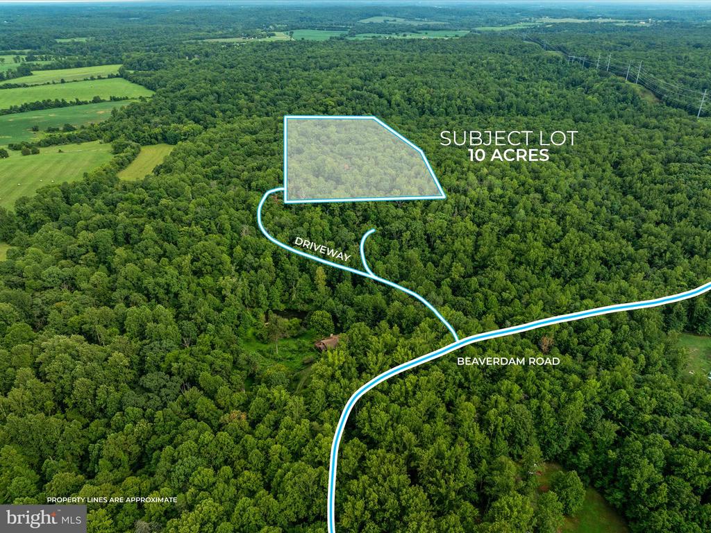 Beaver Dam Rd