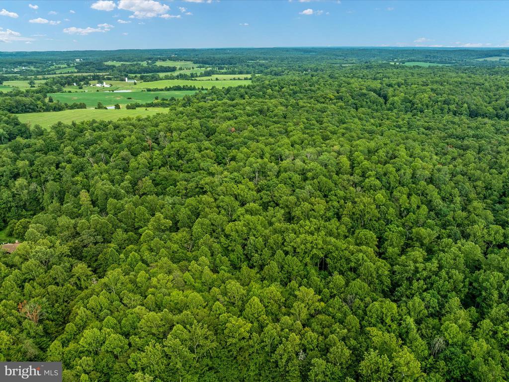 Beaver Dam Rd