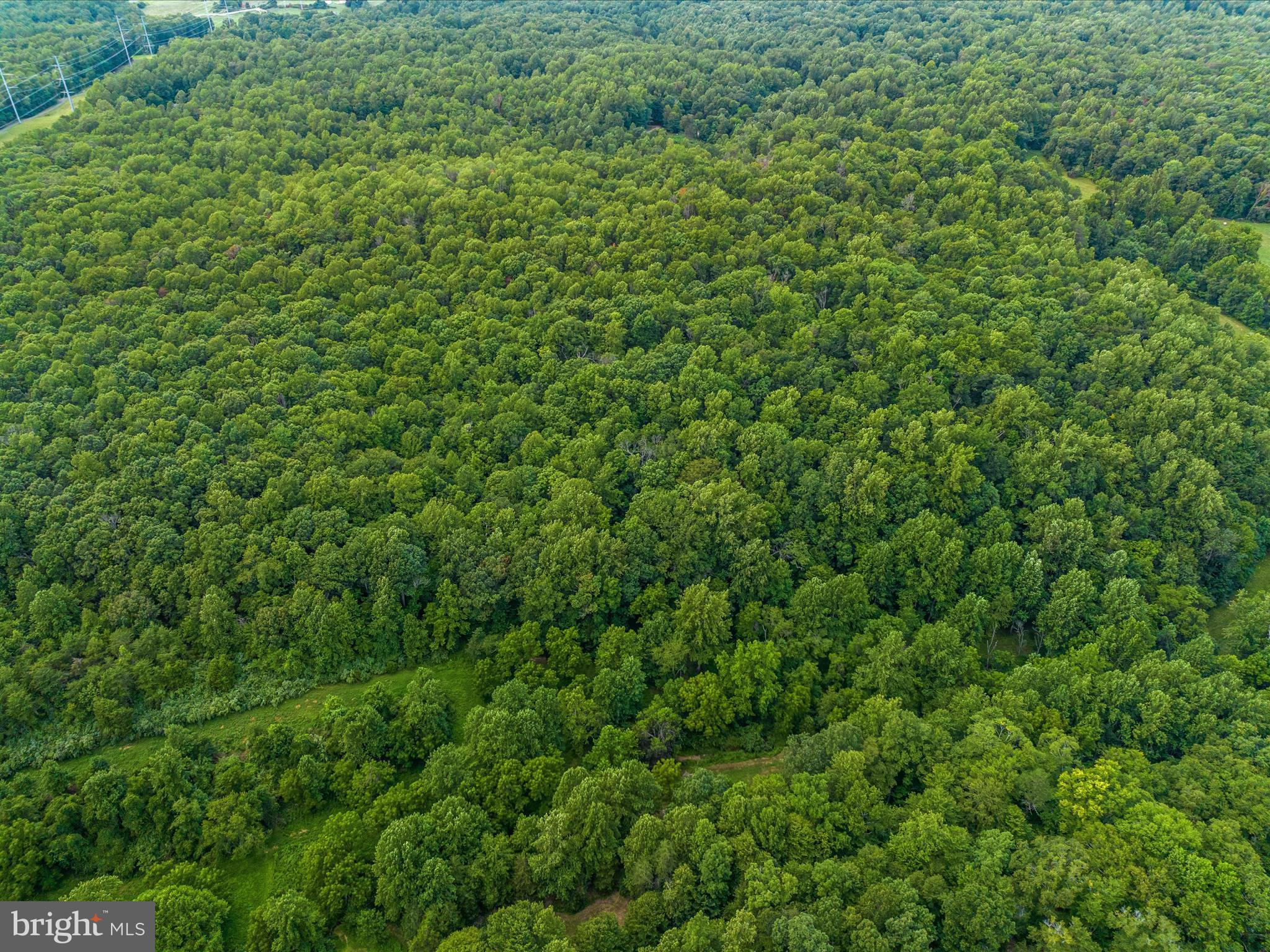 Beaver Dam Rd