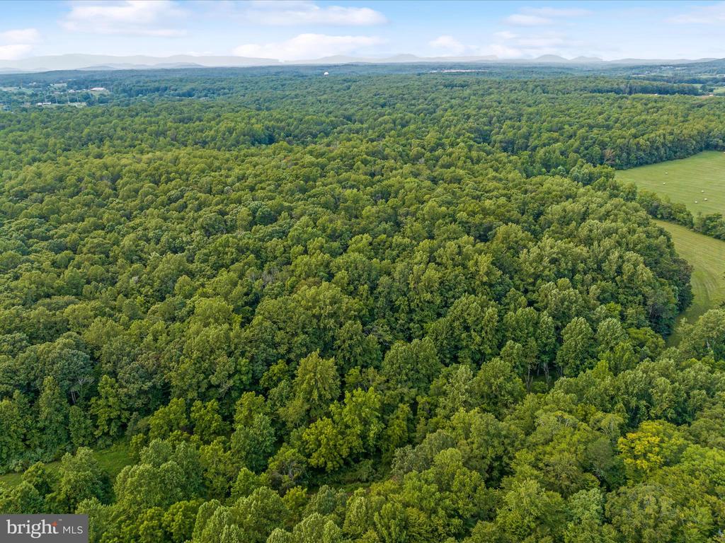 Beaver Dam Rd