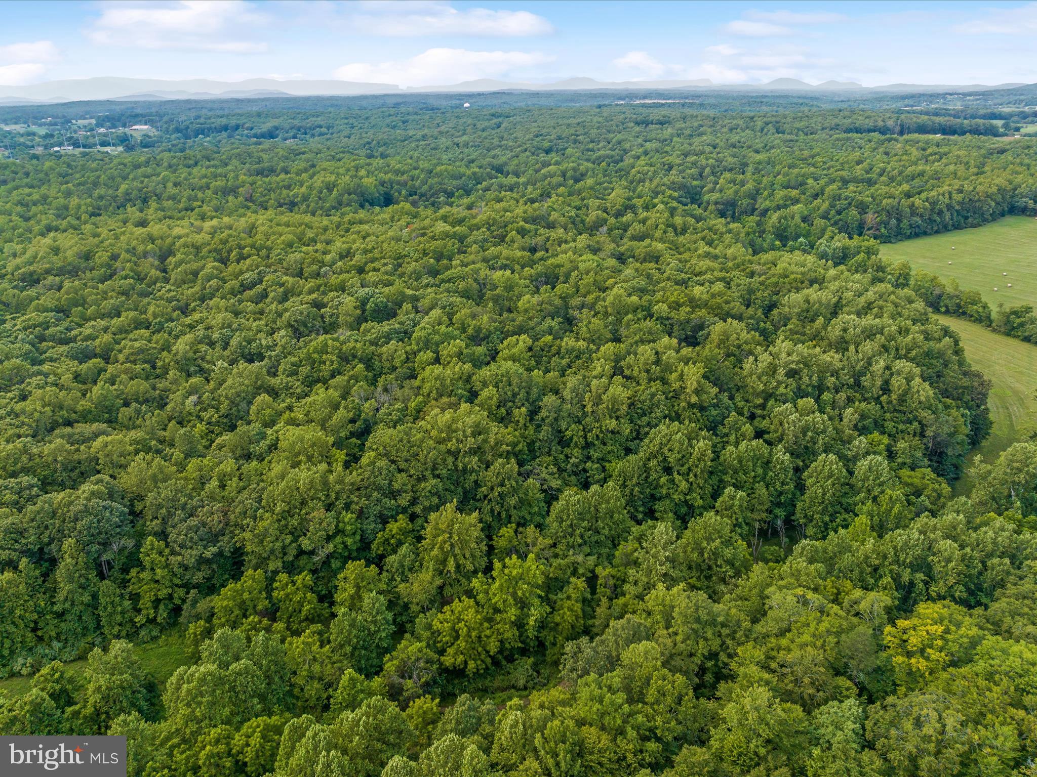 Beaver Dam Rd