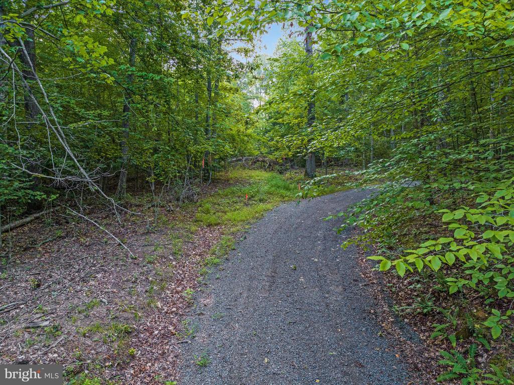 Beaver Dam Rd
