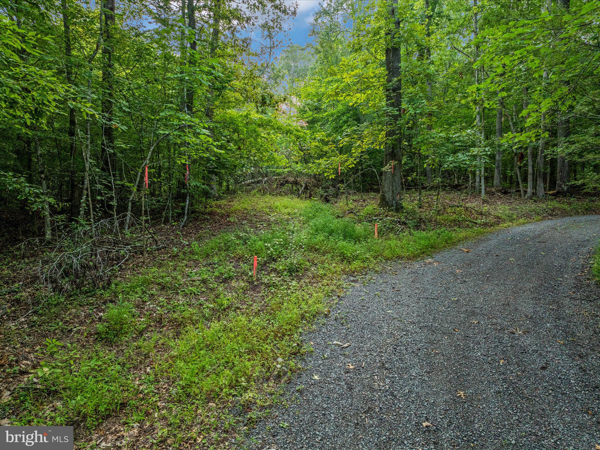Beaver Dam Rd