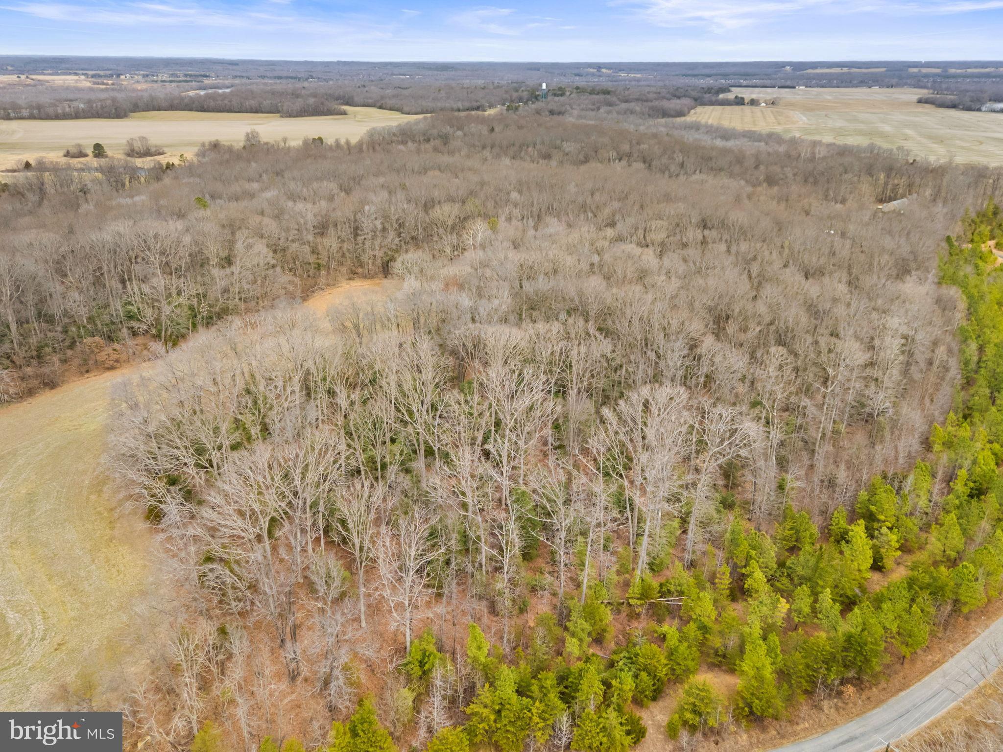 BUCKNER ROAD