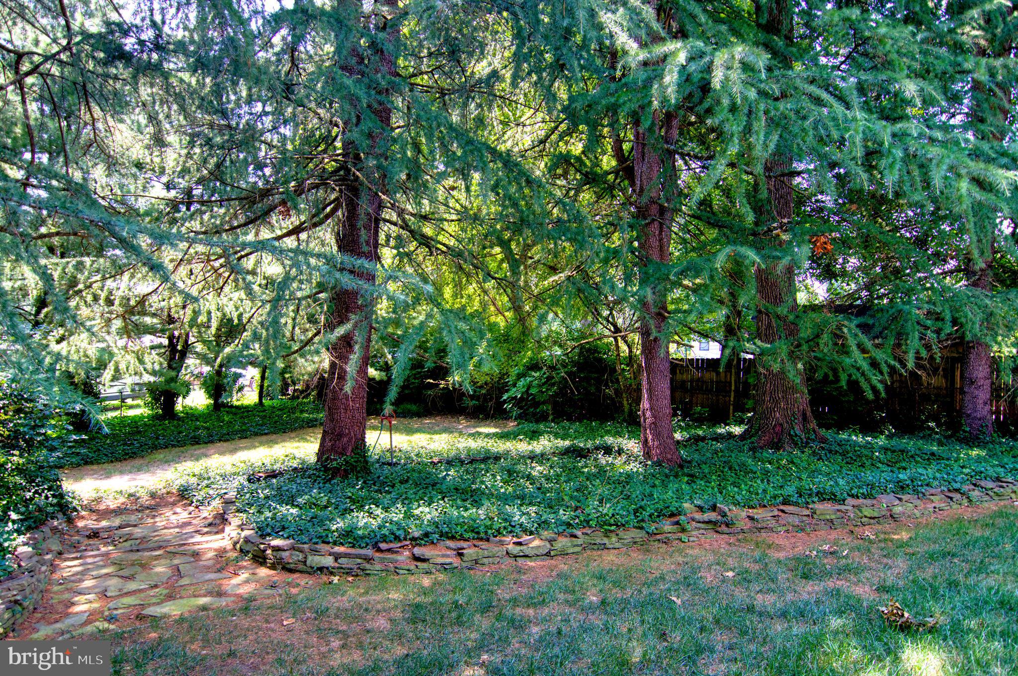 9913 Colony Rd