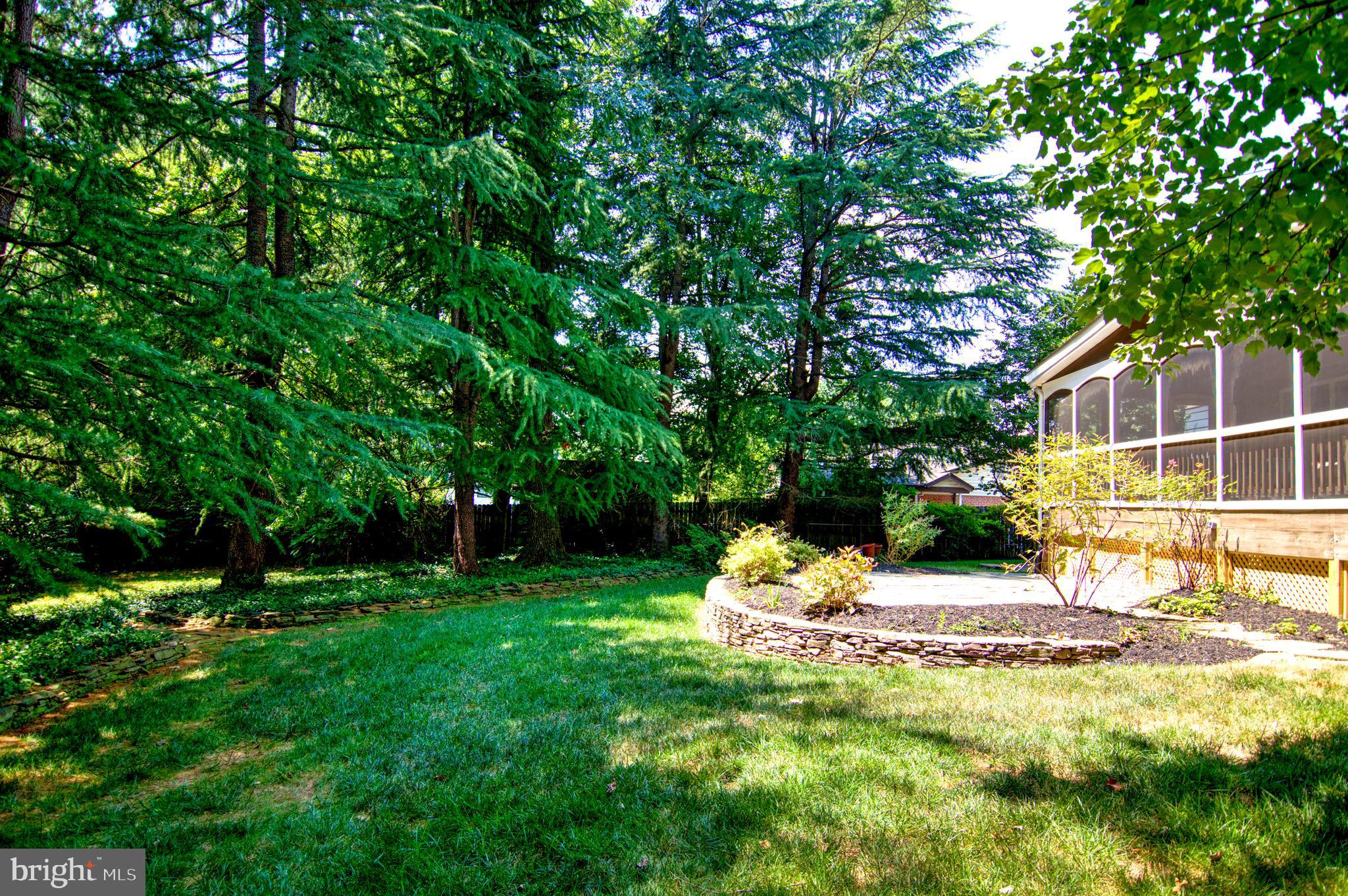 9913 Colony Rd