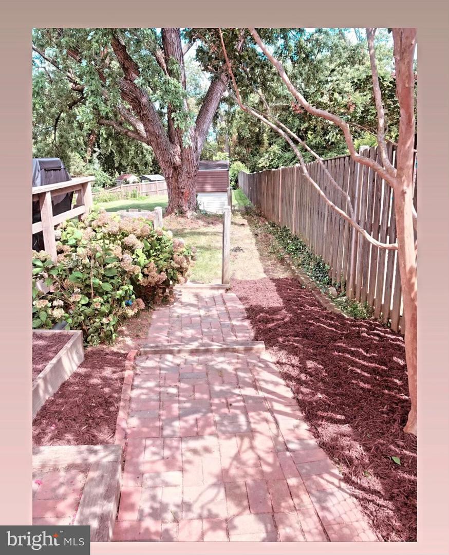 3811 Ren Rd