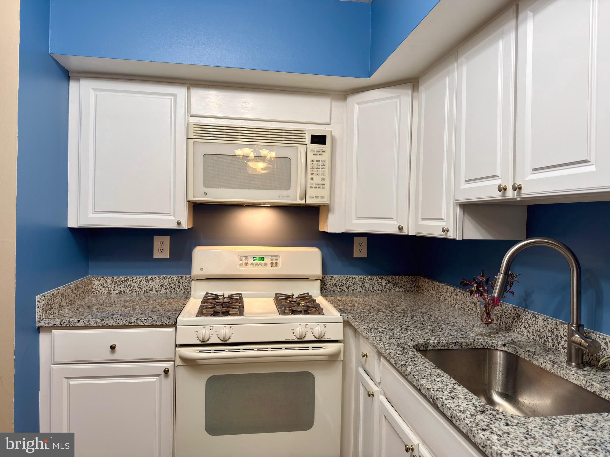 10135 FAIR WOODS DRIVE