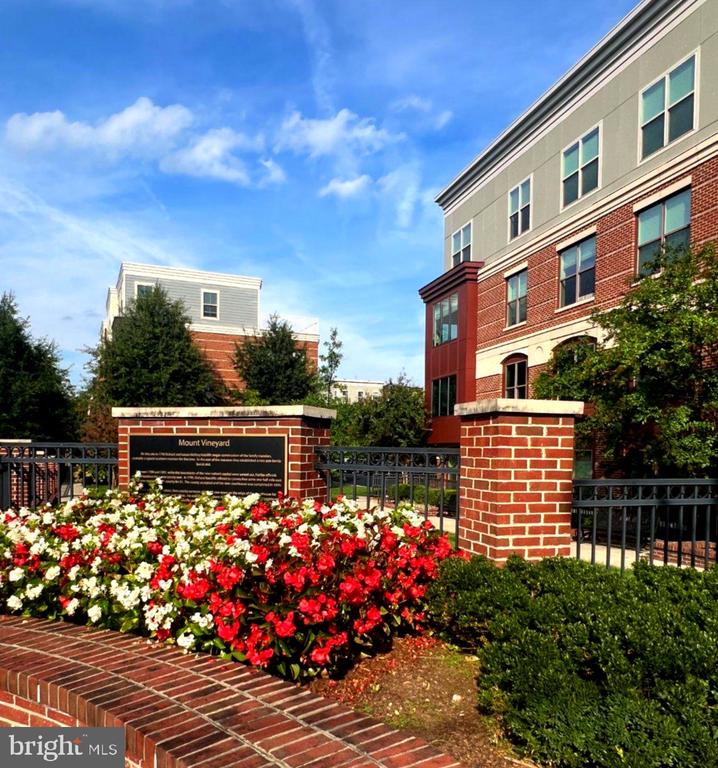 3989 NORTON PLACE Unit: 408