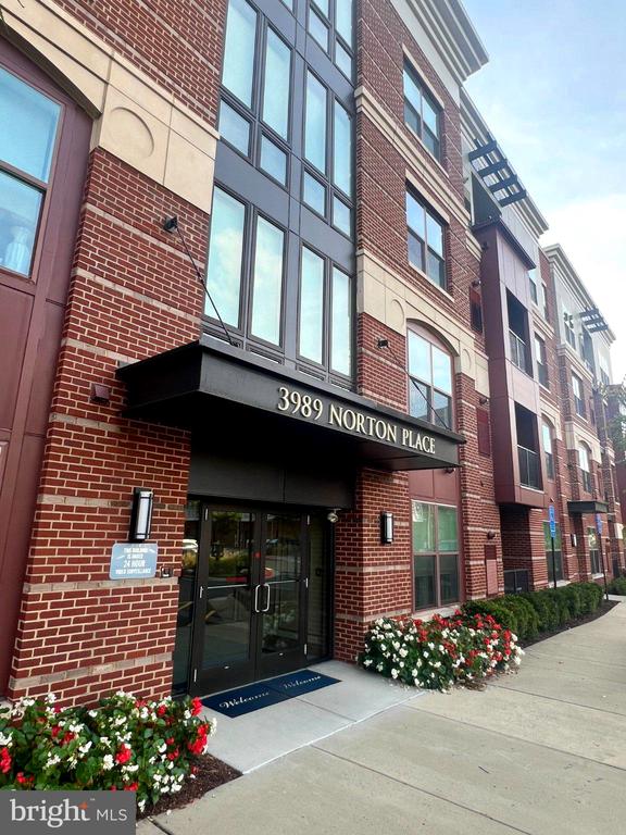 3989 NORTON PLACE Unit: 408