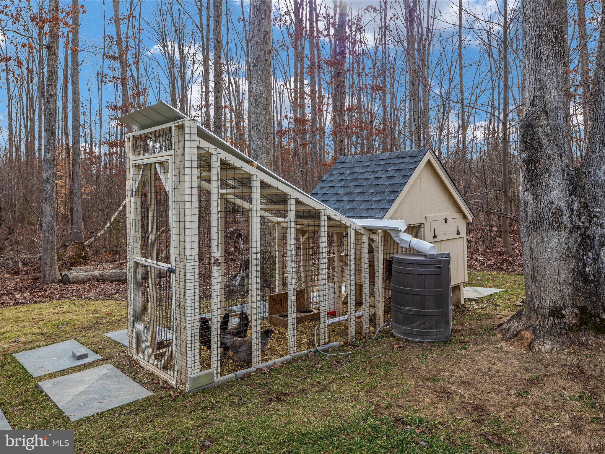 12745 Bristersburg Road