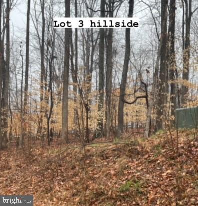 0 Hillside Drive Lot 3