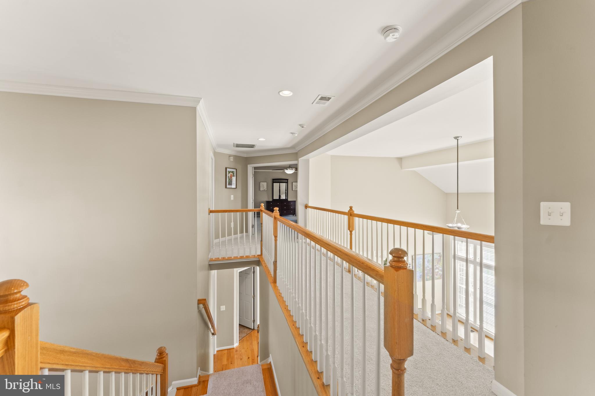 7347 Reese Ct