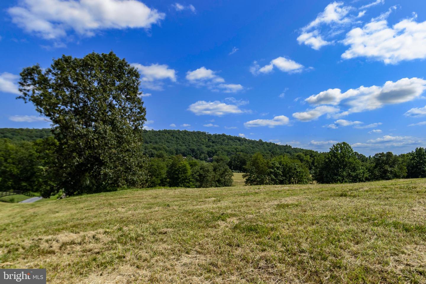 Clarendon Farm Dr