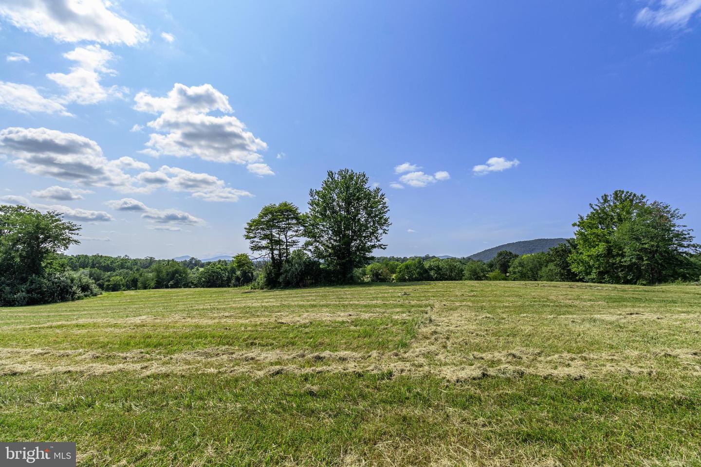 Clarendon Farm Dr