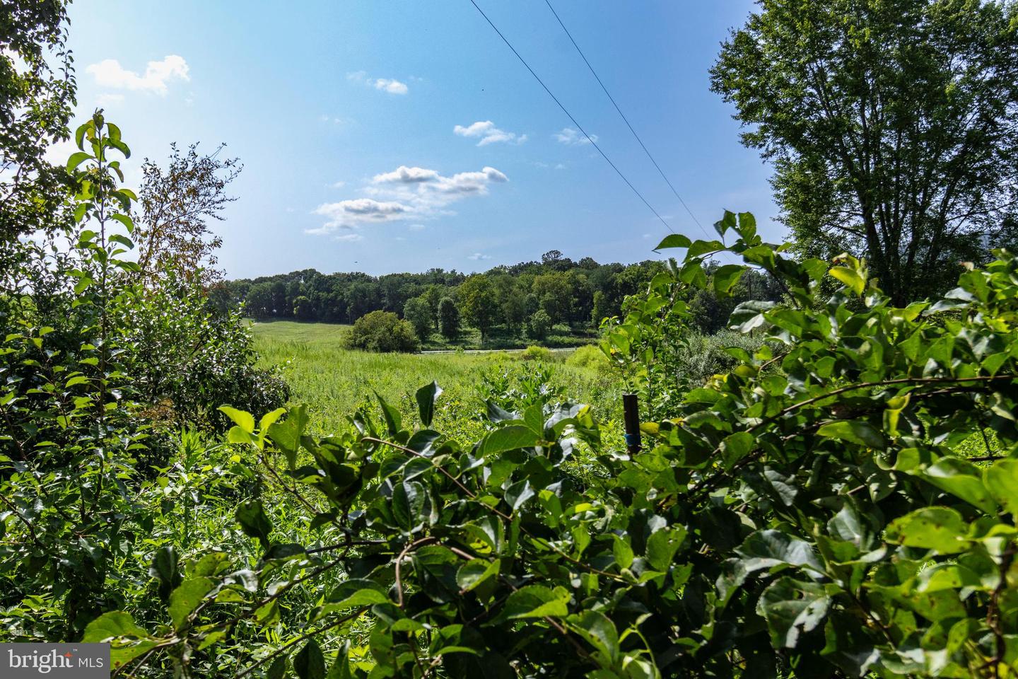 Clarendon Farm Dr