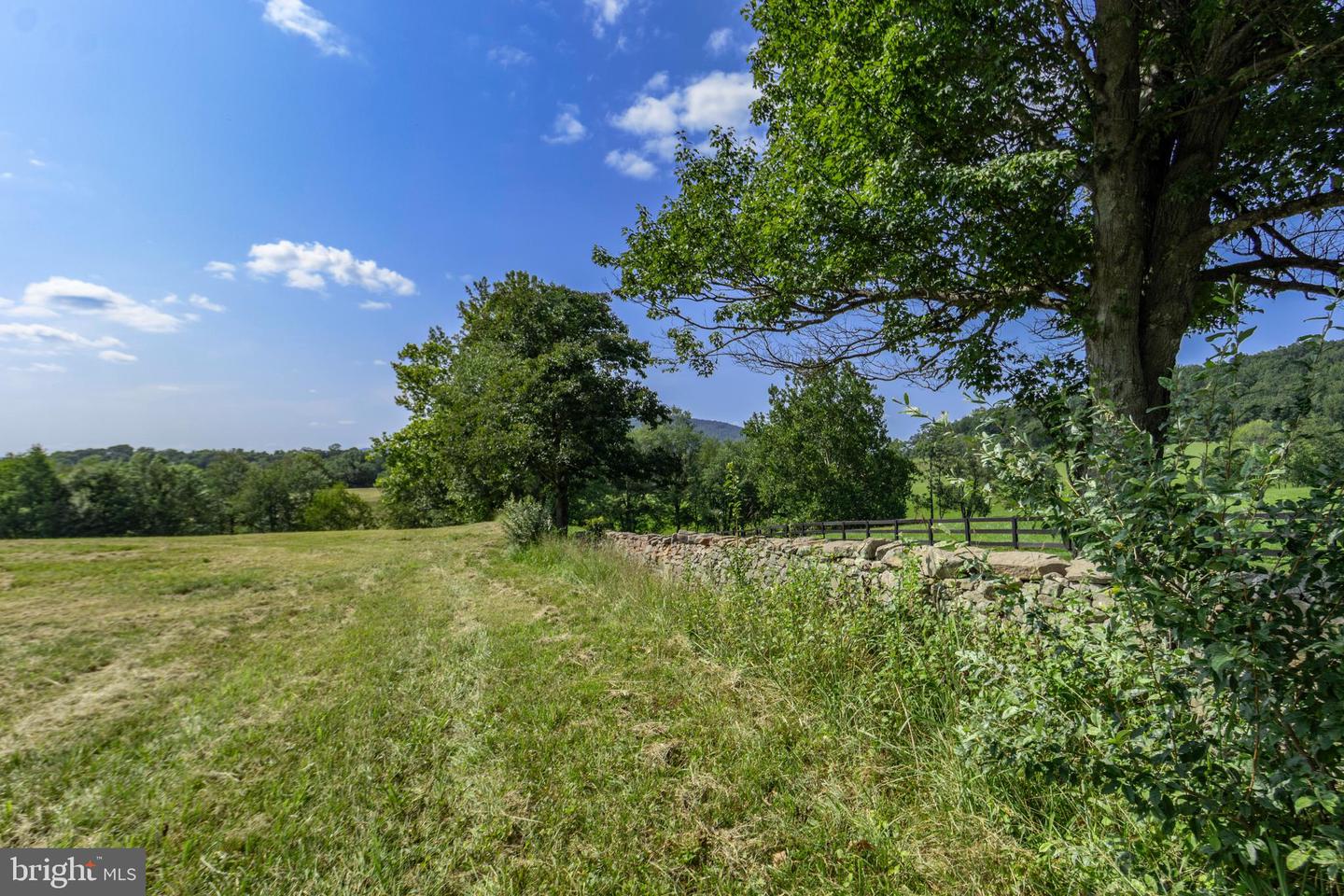 Clarendon Farm Dr