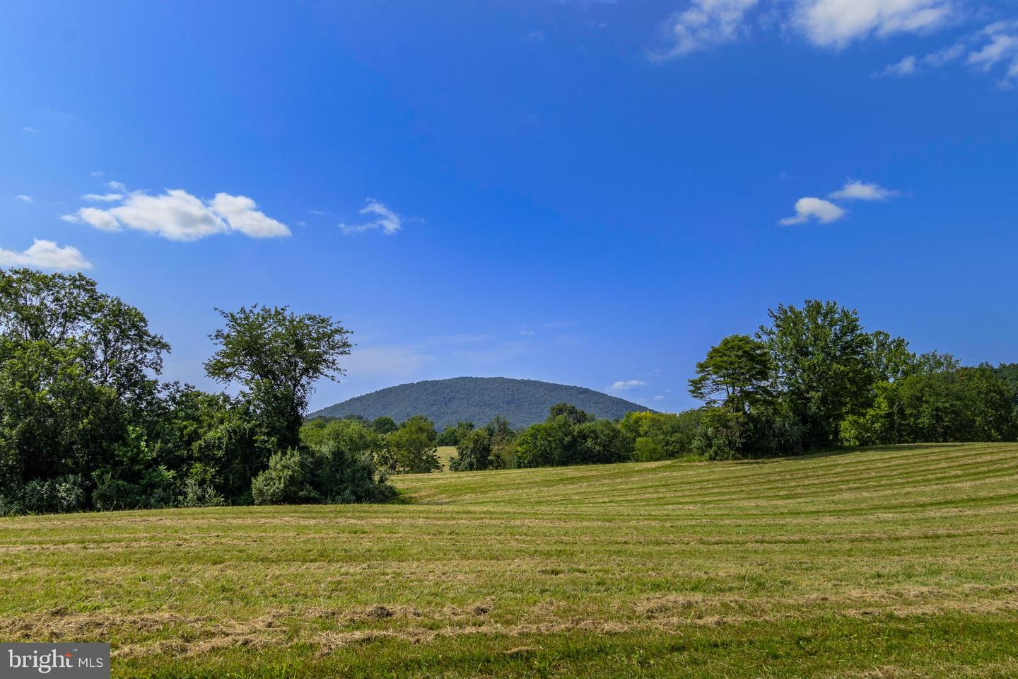 Clarendon Farm Dr