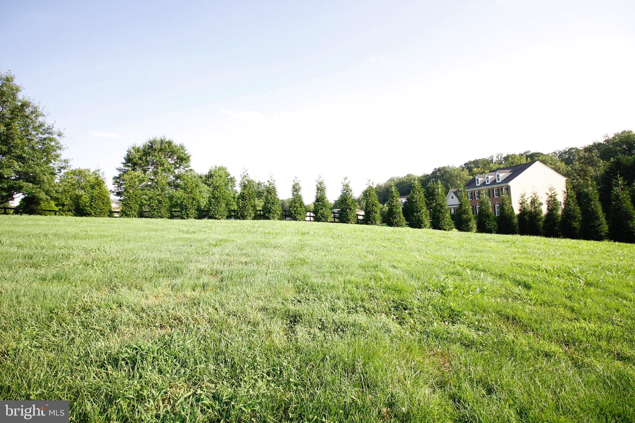 5569 JAMISONS FARM DR