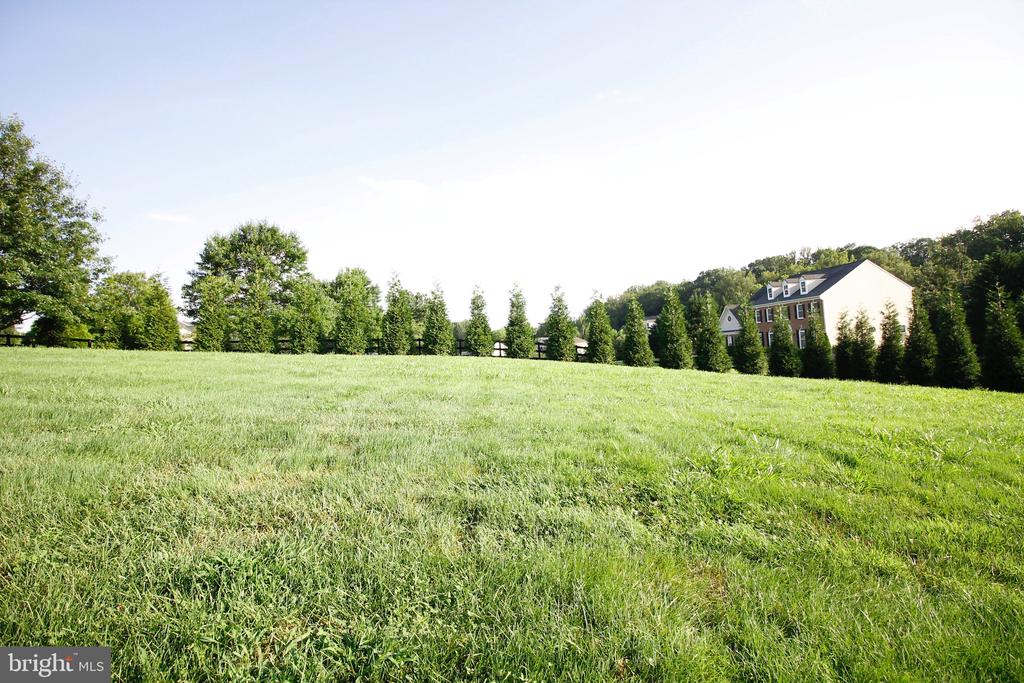 5569 JAMISONS FARM DR