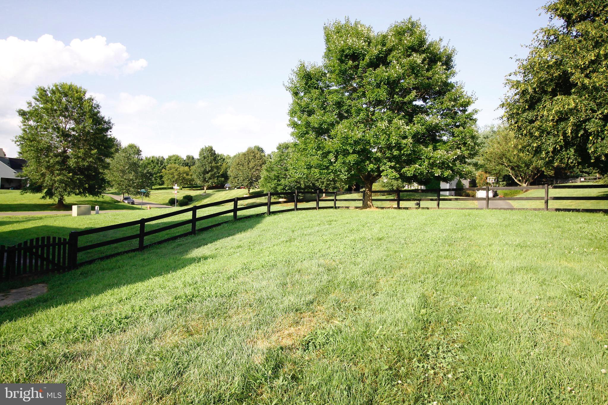 5569 JAMISONS FARM DR