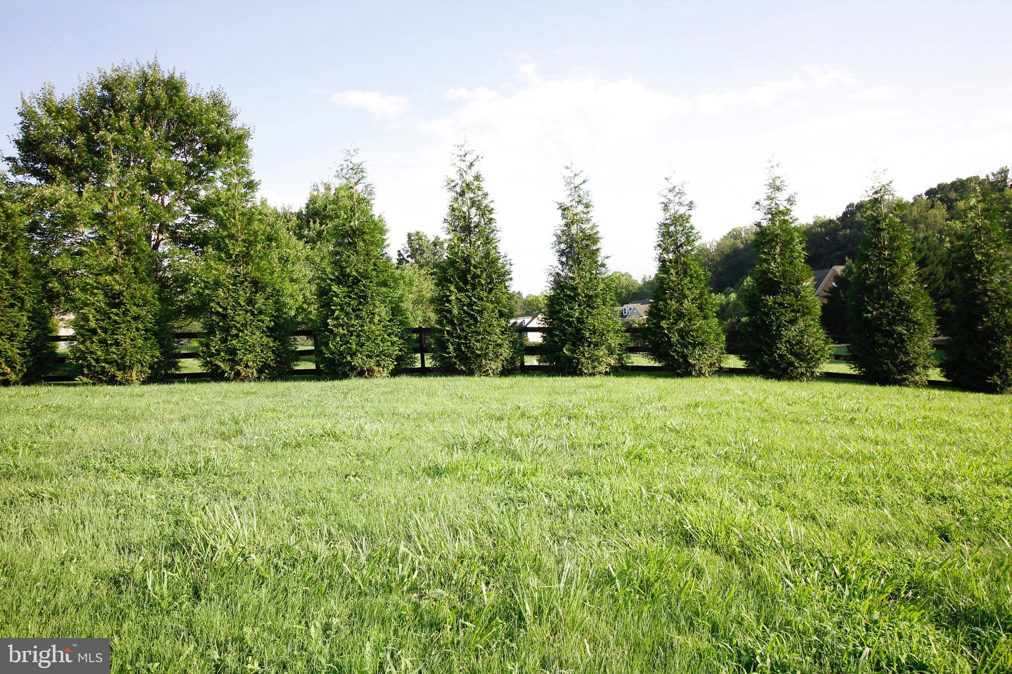 5569 JAMISONS FARM DR