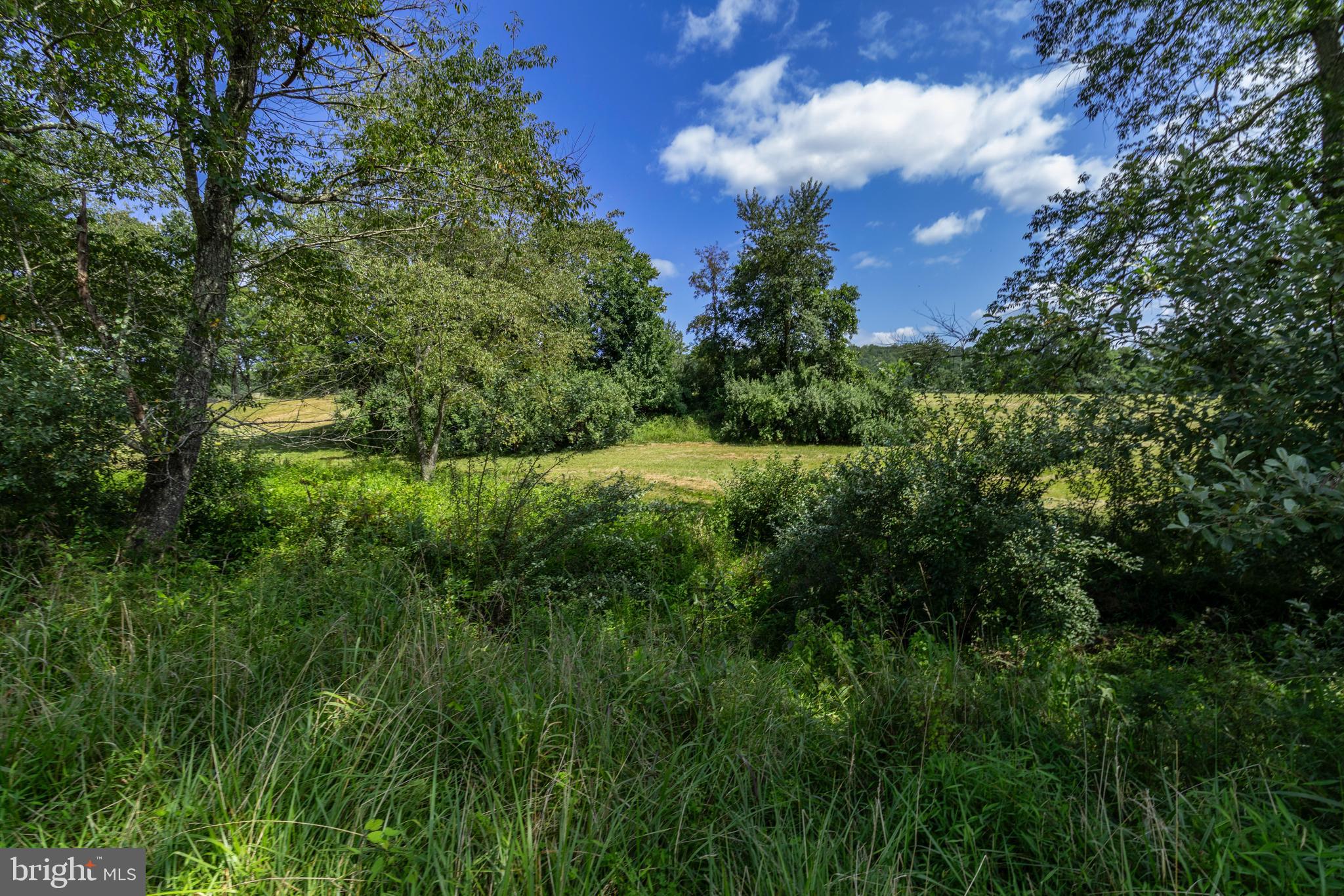 CLARENDON FARM DRIVE