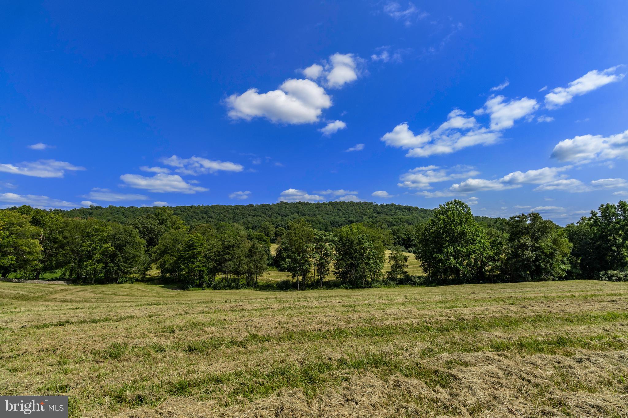 CLARENDON FARM DRIVE