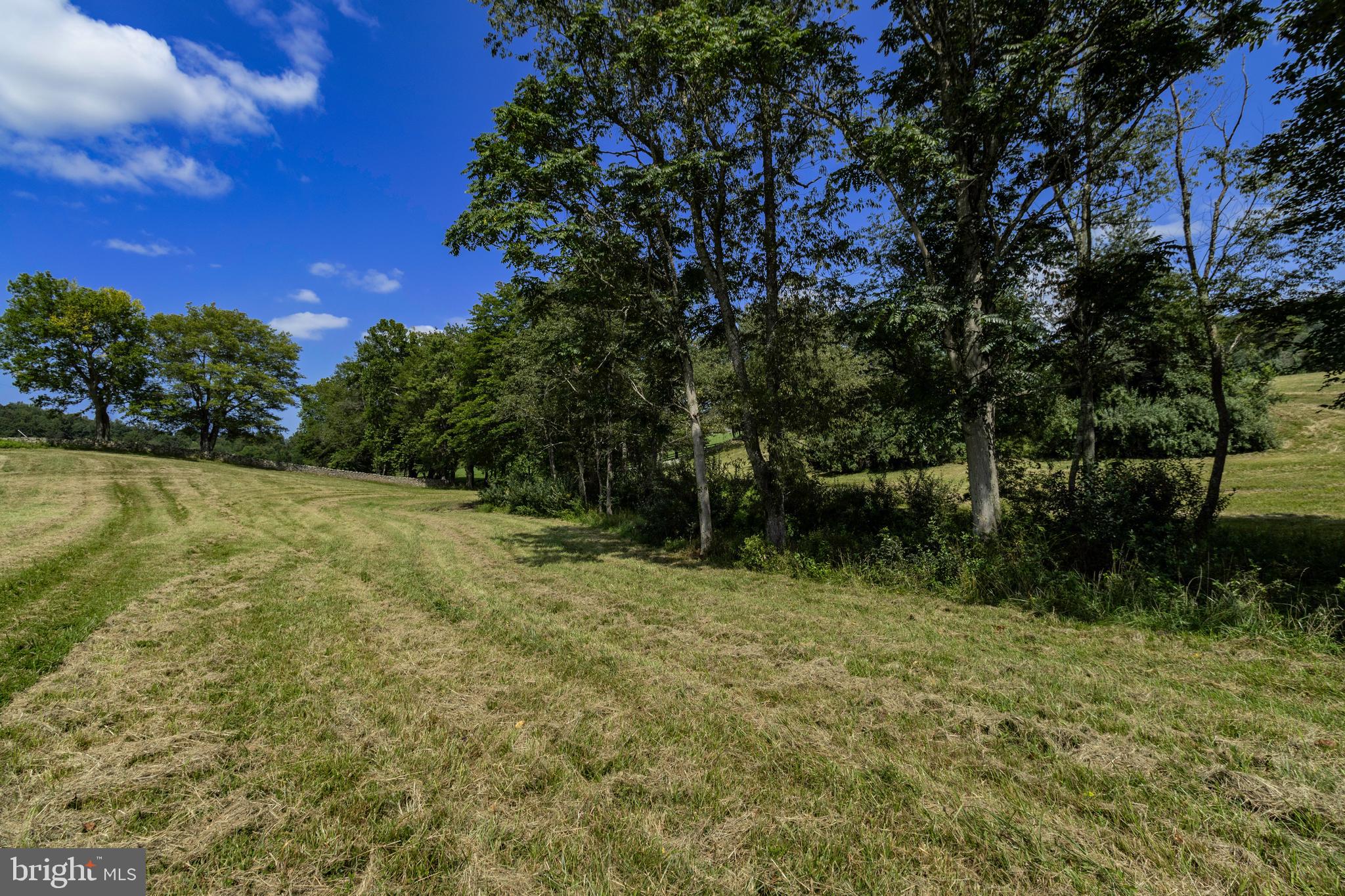 CLARENDON FARM DRIVE