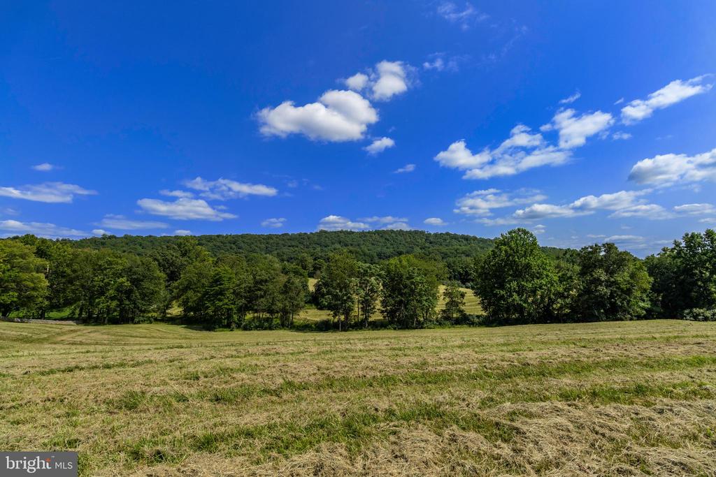 CLARENDON FARM DRIVE