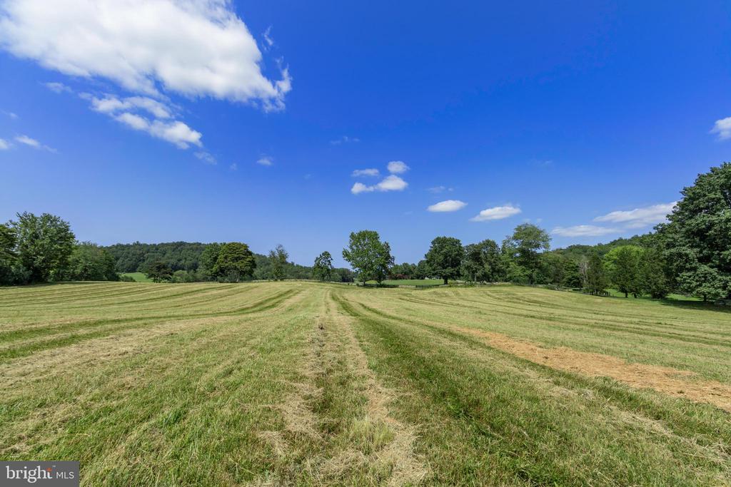 CLARENDON FARM DRIVE