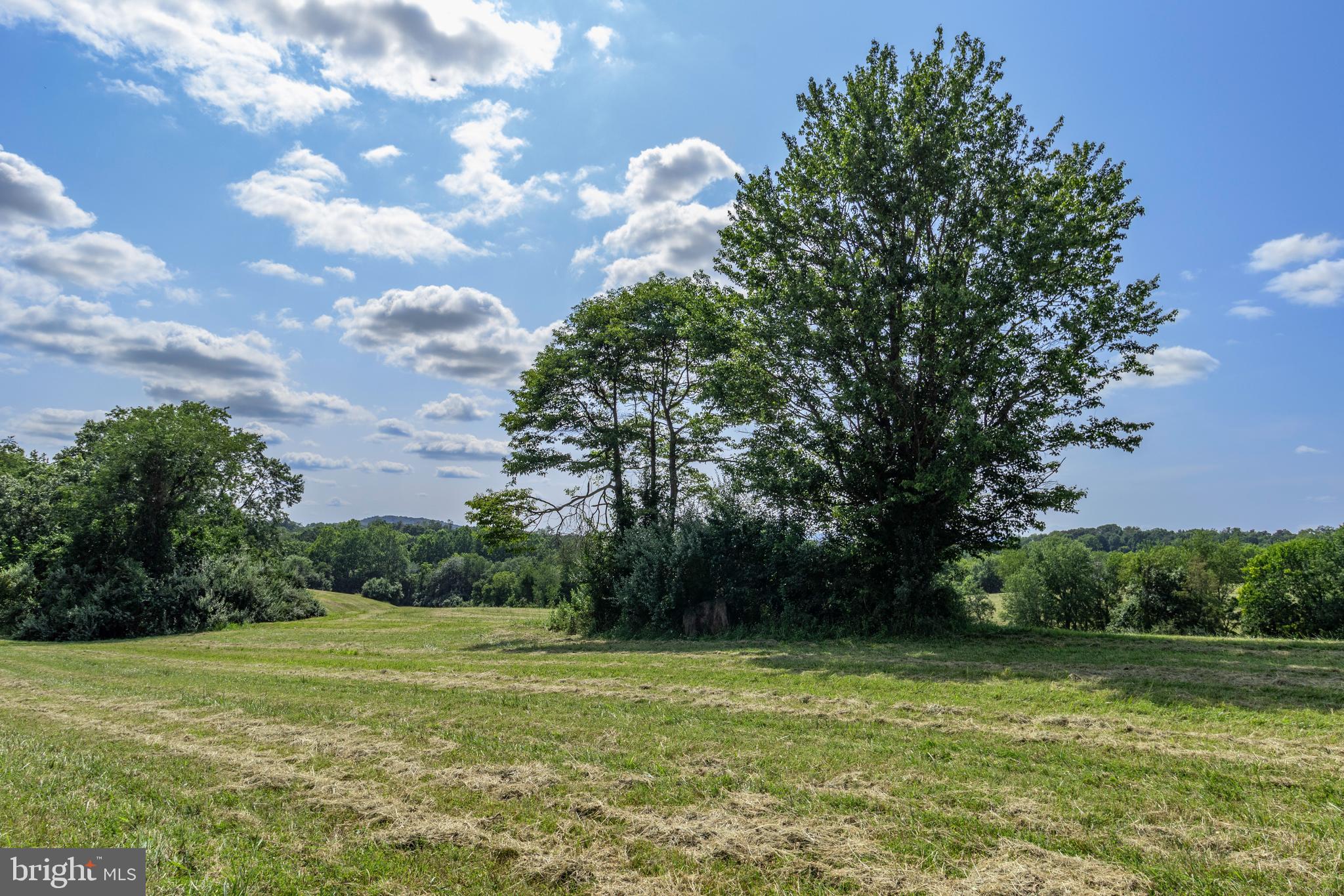 CLARENDON FARM DRIVE