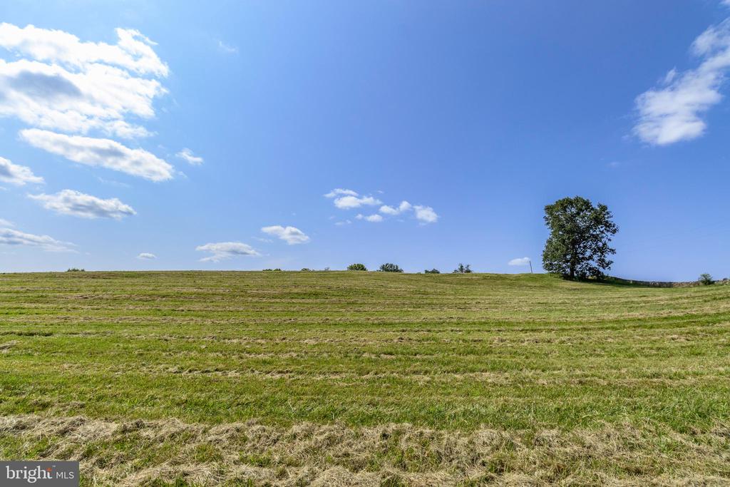 CLARENDON FARM DRIVE