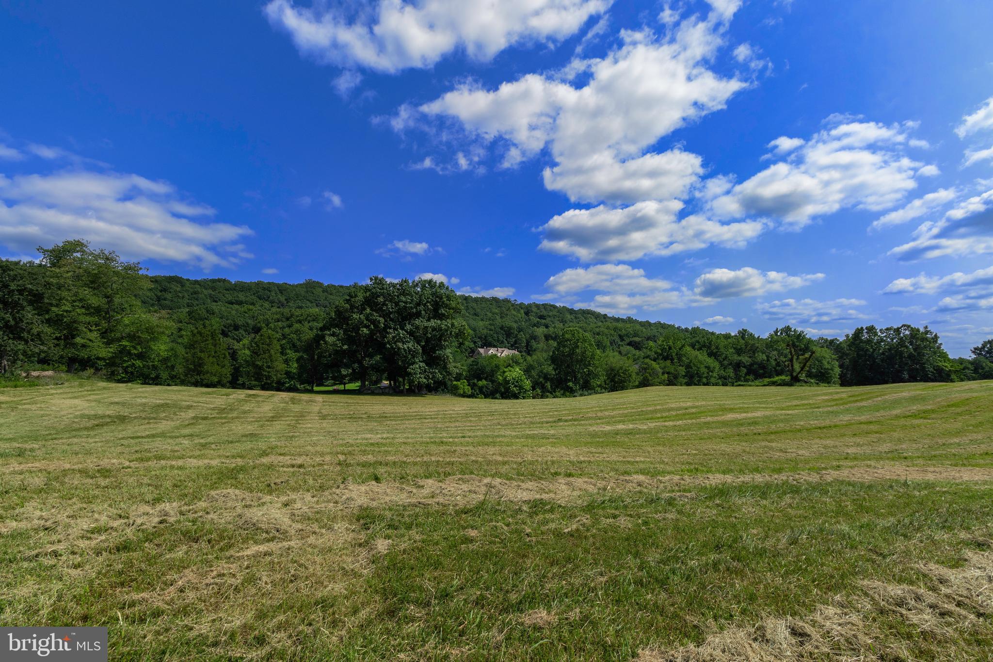 CLARENDON FARM DRIVE