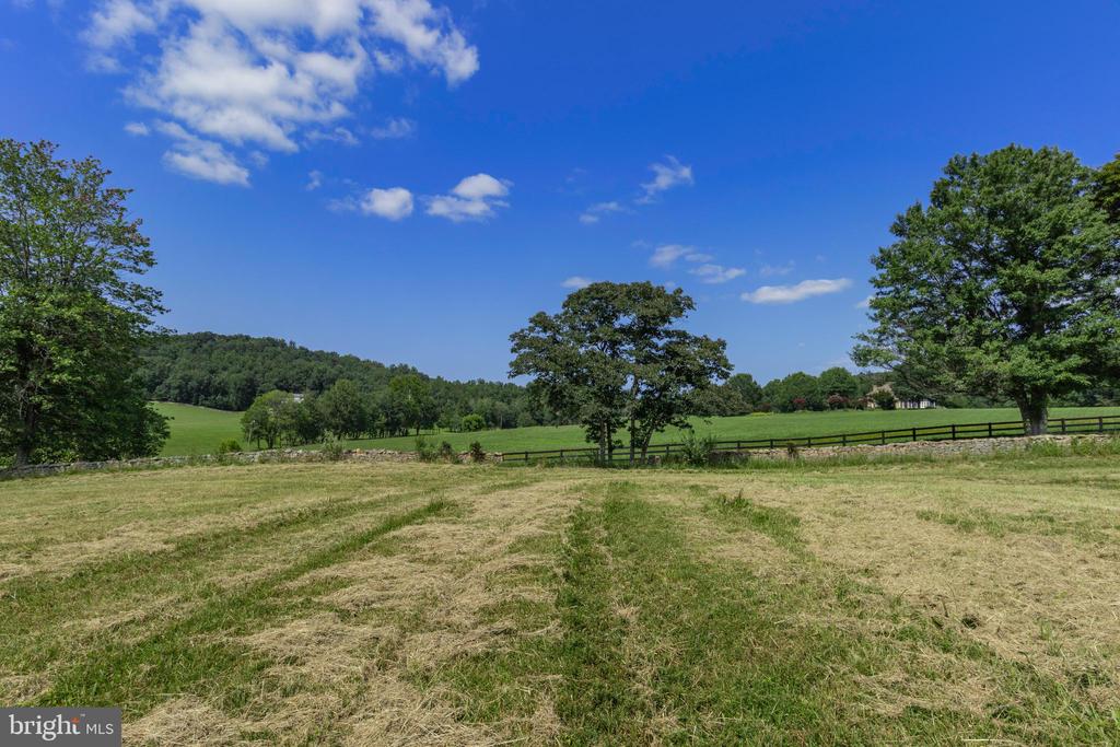 CLARENDON FARM DRIVE