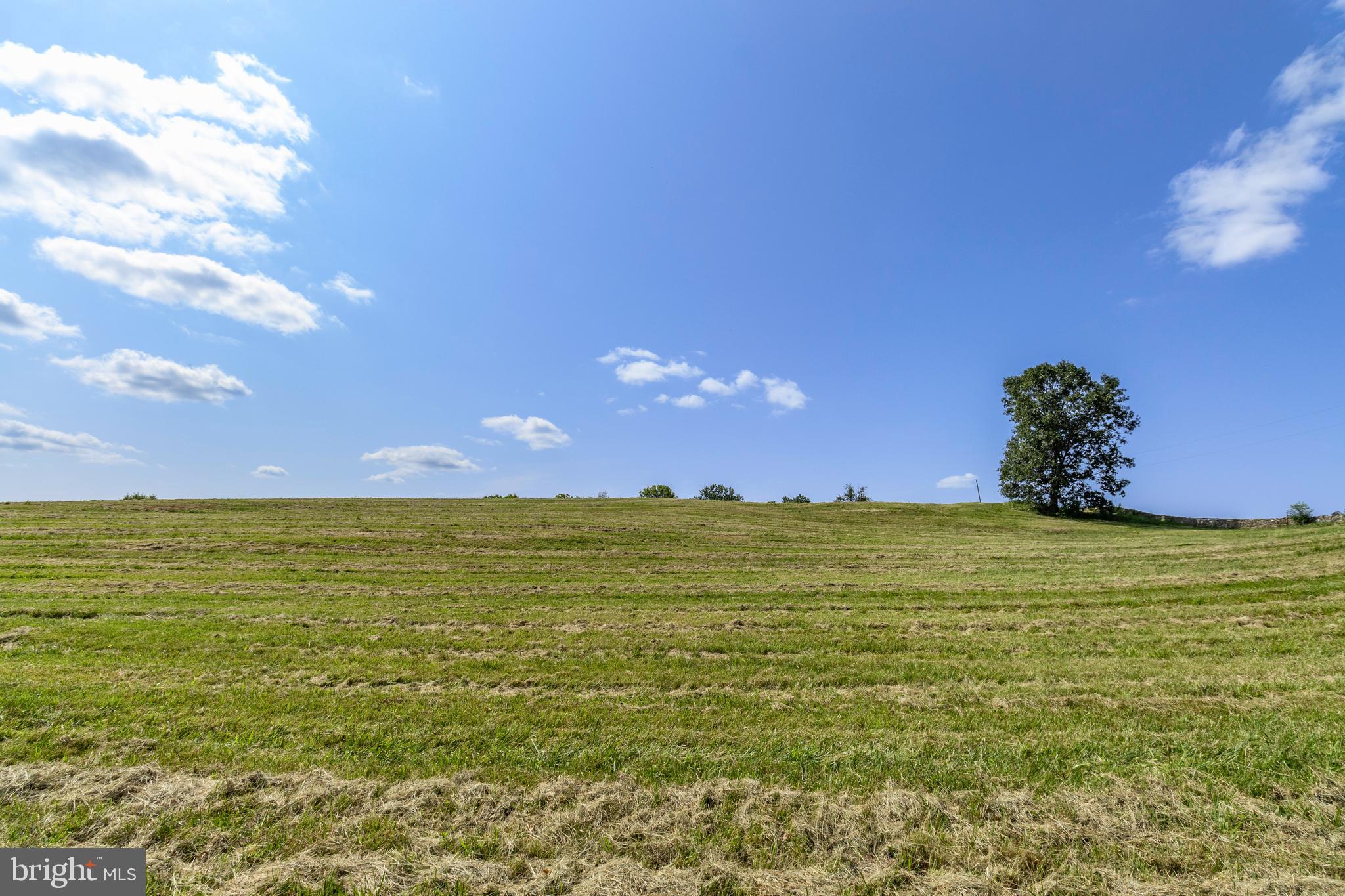 CLARENDON FARM DRIVE