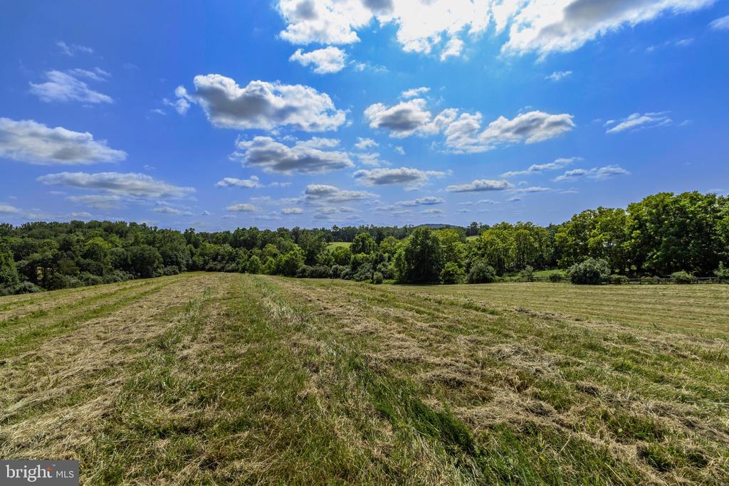 CLARENDON FARM DRIVE