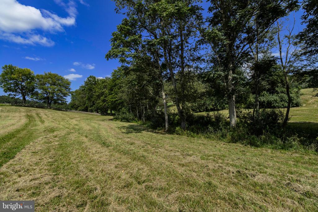 CLARENDON FARM DRIVE