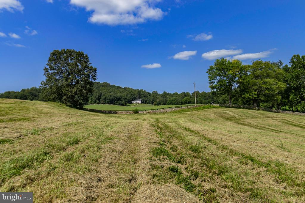 CLARENDON FARM DRIVE