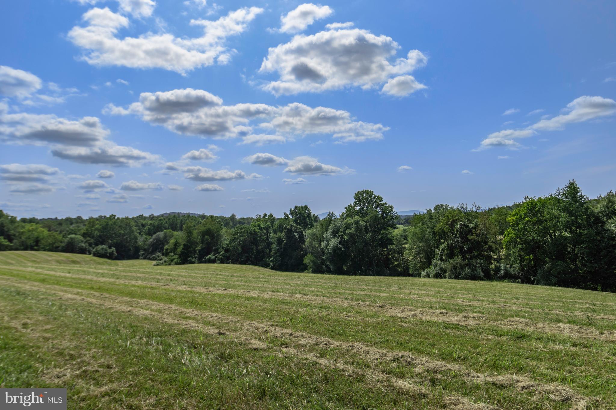 CLARENDON FARM DRIVE