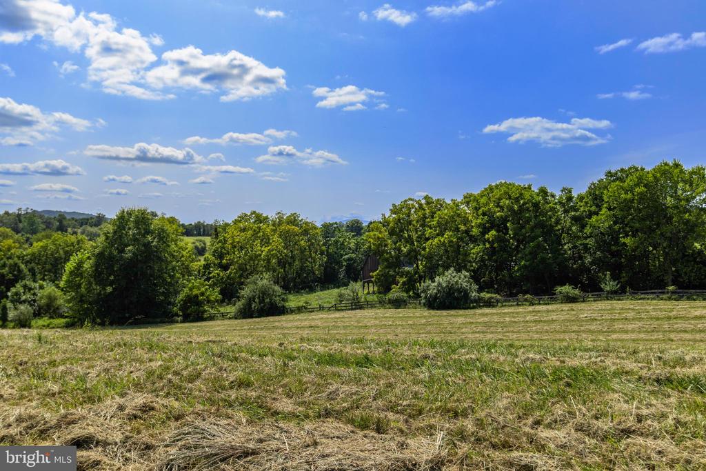 CLARENDON FARM DRIVE
