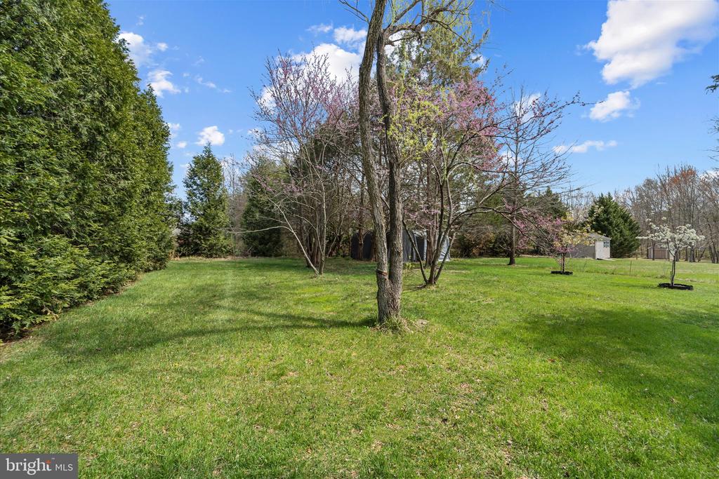 11335 WHIPKEY DRIVE