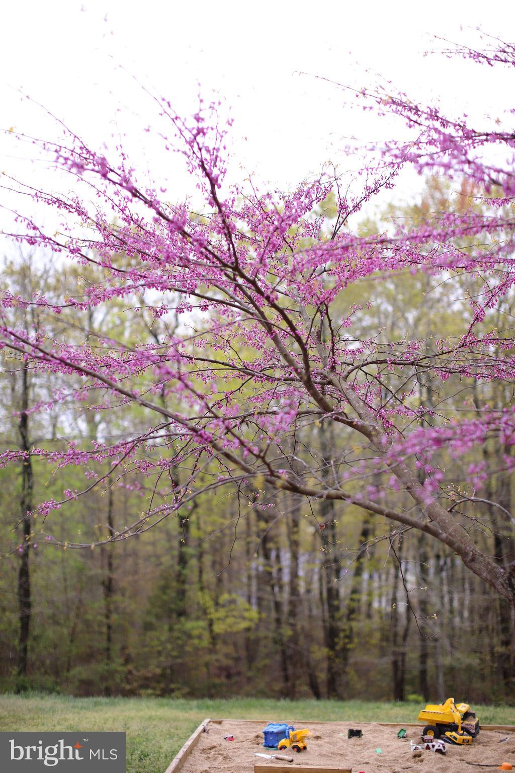 4752 GREENE LOVE LANE