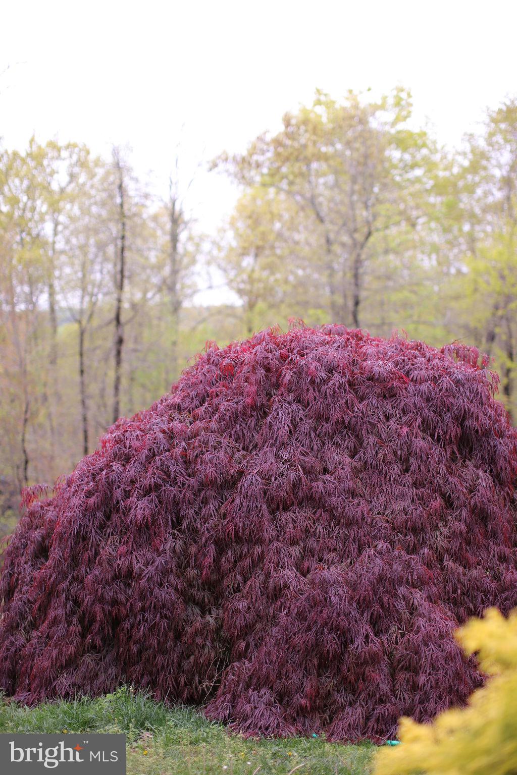 4752 GREENE LOVE LANE