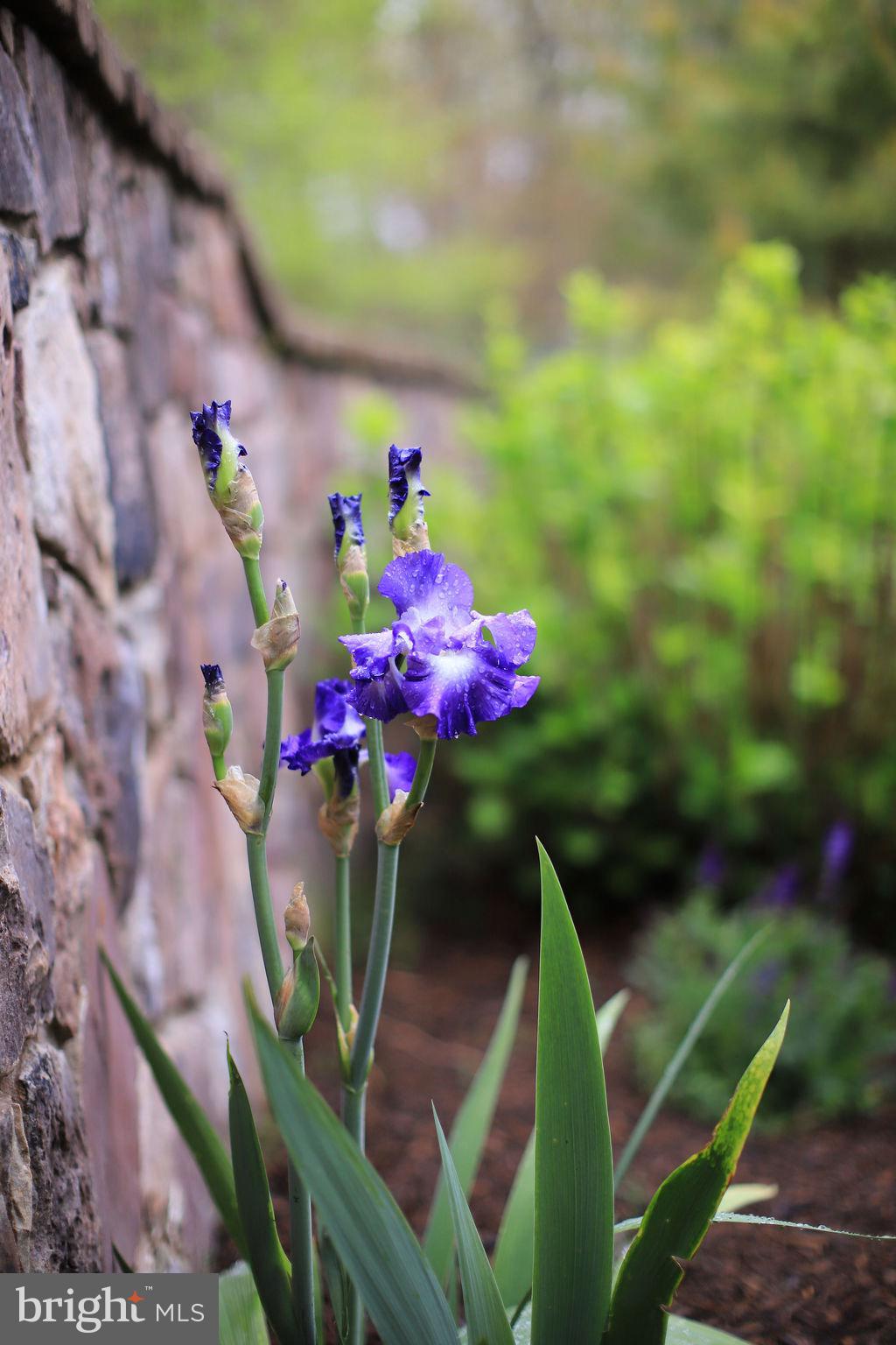 4752 GREENE LOVE LANE