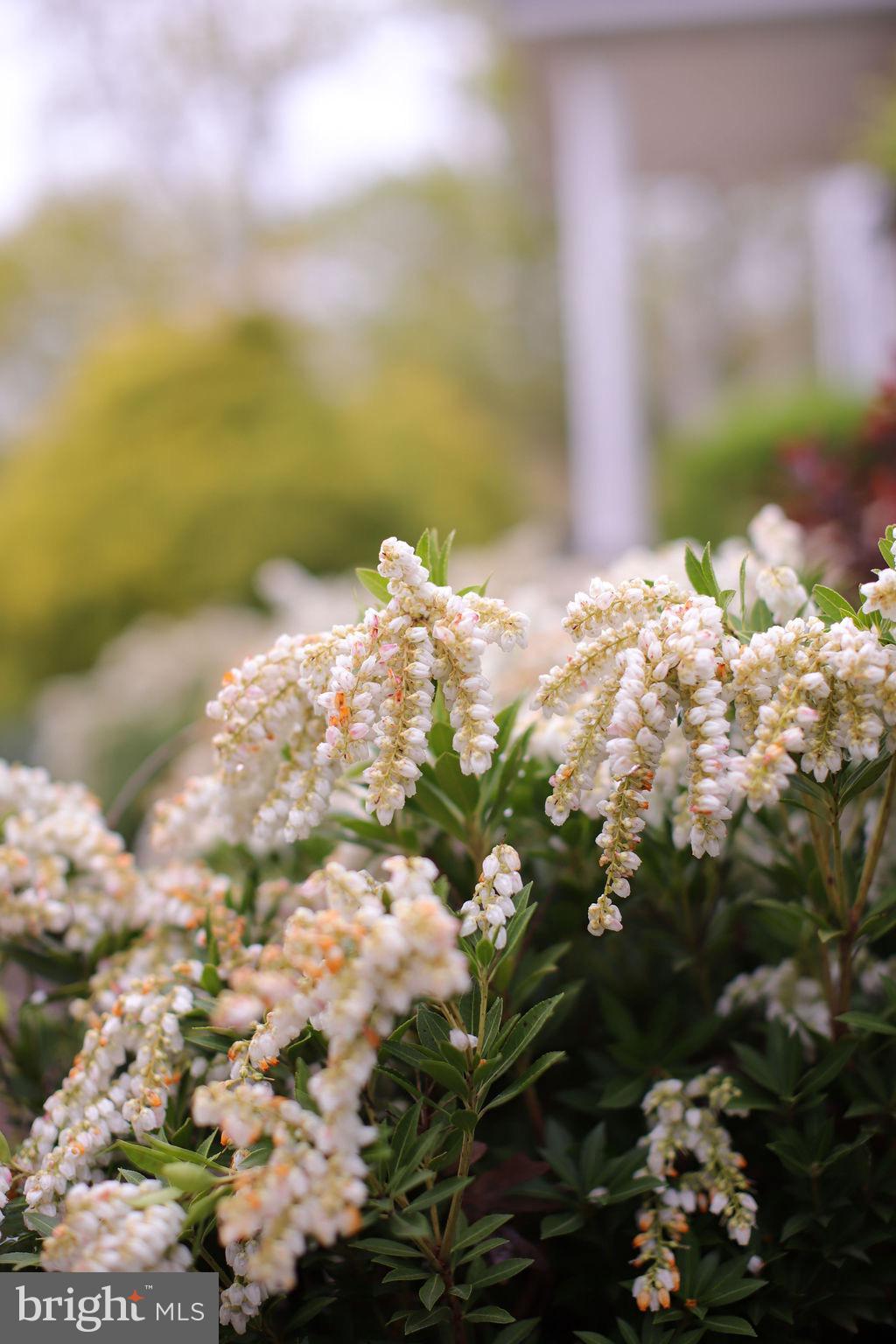 4752 GREENE LOVE LANE