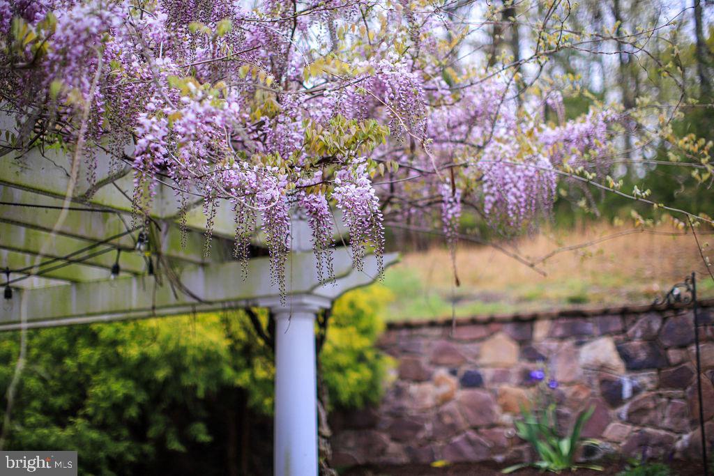 4752 GREENE LOVE LANE