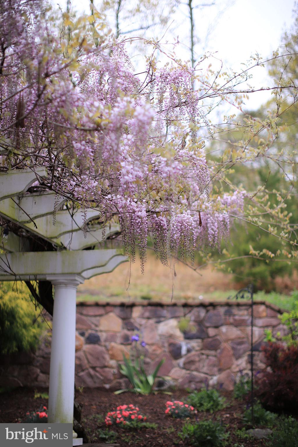 4752 GREENE LOVE LANE